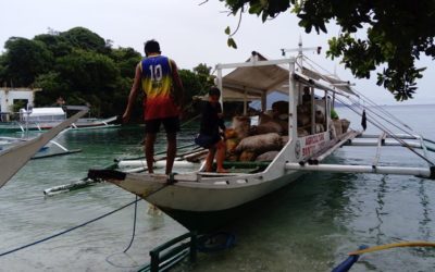 Alad Island – Philipines